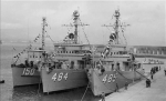 MSO-484