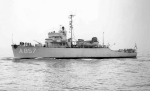 MSO-484