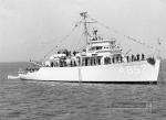 MSO-484