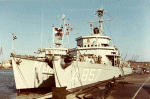 MSO-484