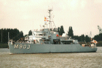 MSO-498