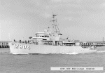 MSO-499