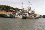MSO-499