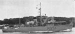 MSO-499