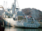MSO-499