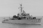 MSO-499