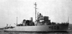 MSO-512