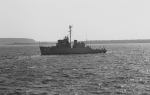 AM-512