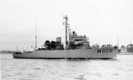 MSO-515