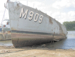 MSO-516