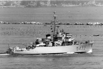 MSO-517