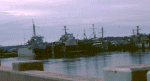 Alacrity
