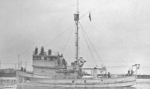 Pipit