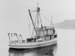 Nightingale