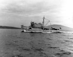 Governor