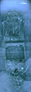 AMc-202