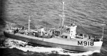 MSC-64