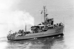 MSC-81