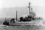 MSC-87