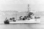 MSC-97