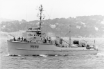 MSC-97