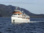 MSC-98