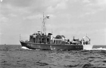 MSI-11