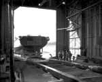 MSC-113