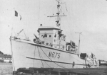 MSC-117