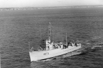 AMS-119