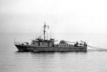MSI-12