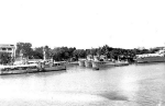 MSC-123