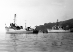 MSC-135