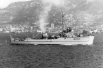 MSC-141