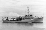 MSC-143