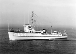 AMS-167