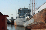 MSC-170