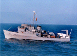 MSI-17