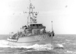 MSC-172