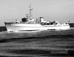 MSC-173