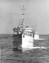 MSC-173