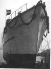 MSC-173