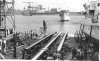 MSC-173