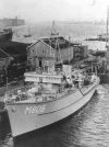 MSC-174