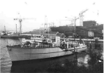 MSC-175