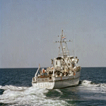 MSC-175