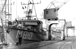 MSC-176