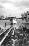 MSC-176
