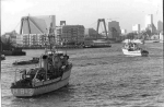 MSC-177