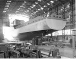 MSC-177